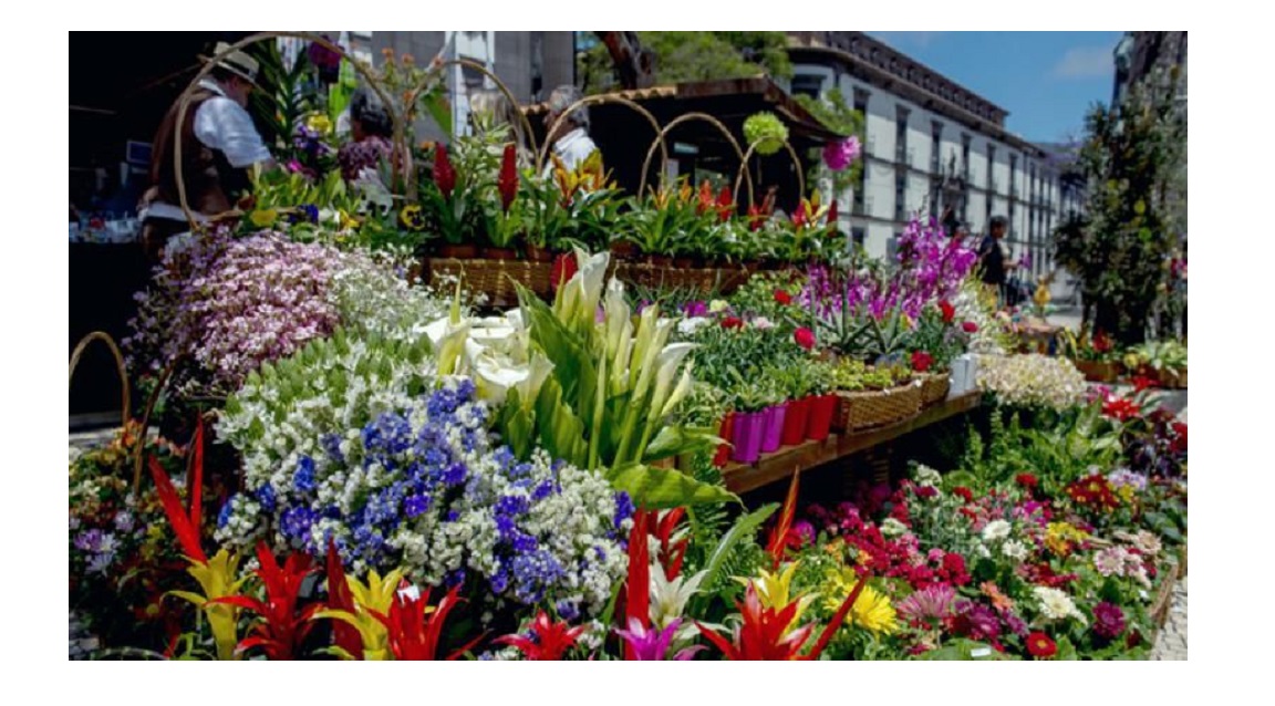 Madeira Fiesta de la Flor