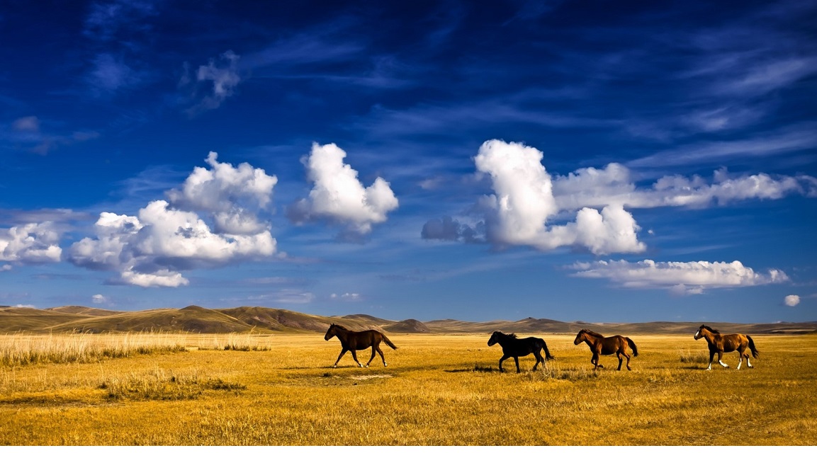 Nuba Mongolia a caballo