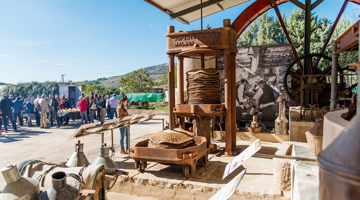 Extremadura Ruta Aceite