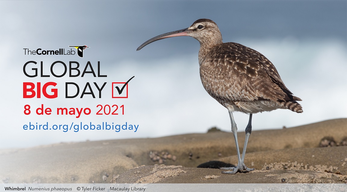 Global Big day