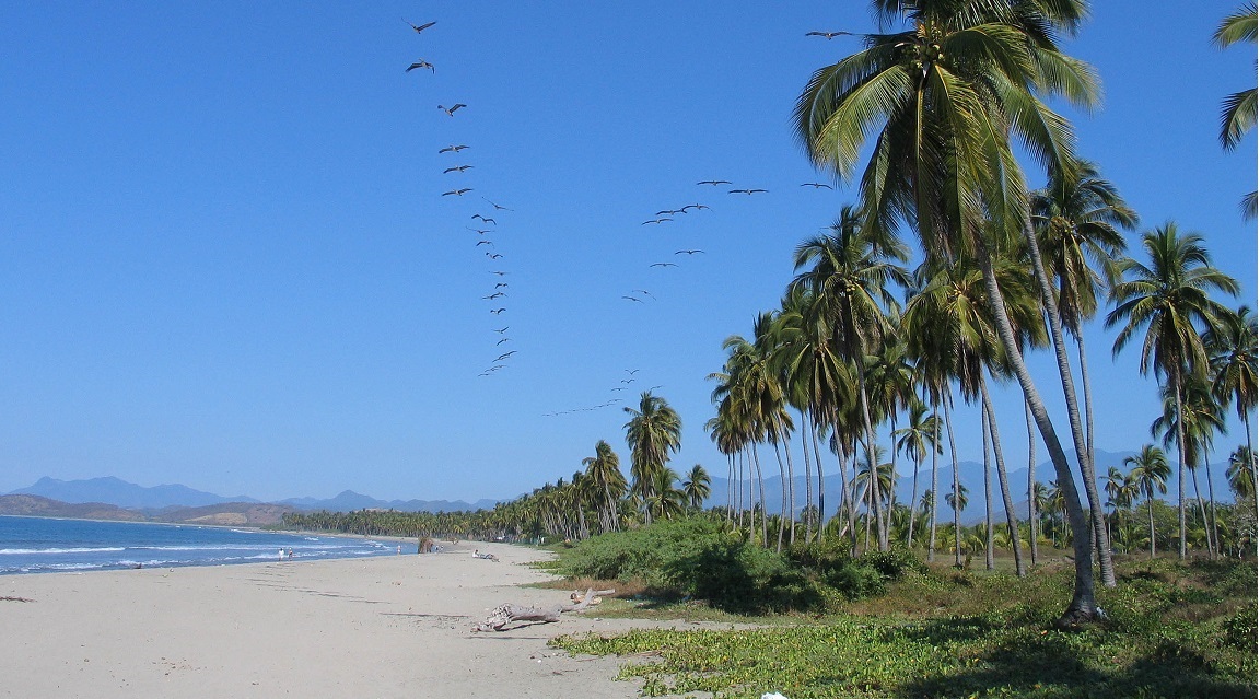 Ixtapa_Zihuatanejo_playa