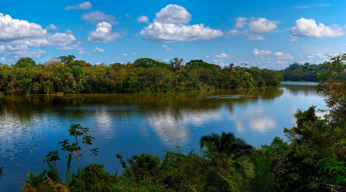 Perú Tambopata