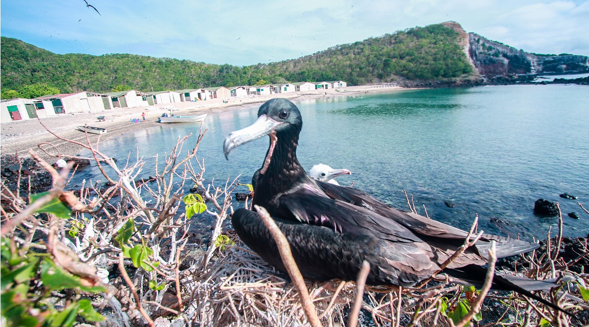 isla Isabel