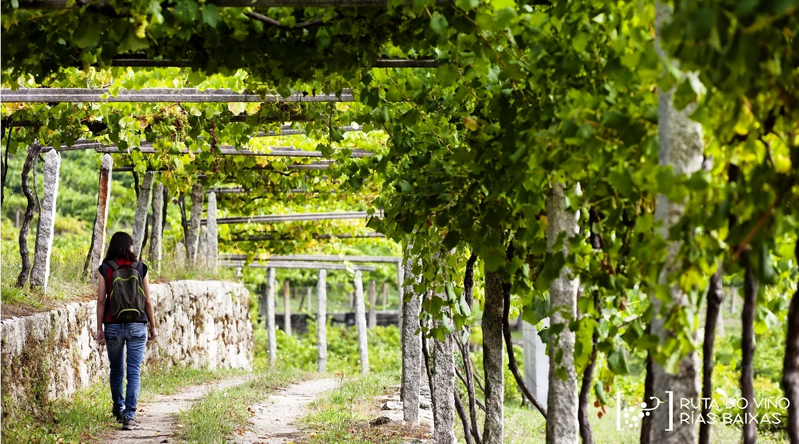 Ruta del Vino Rutas Baixas