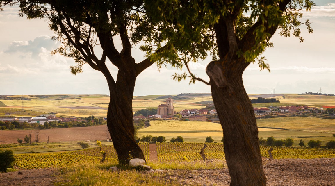 Ruta del Vino Cigales