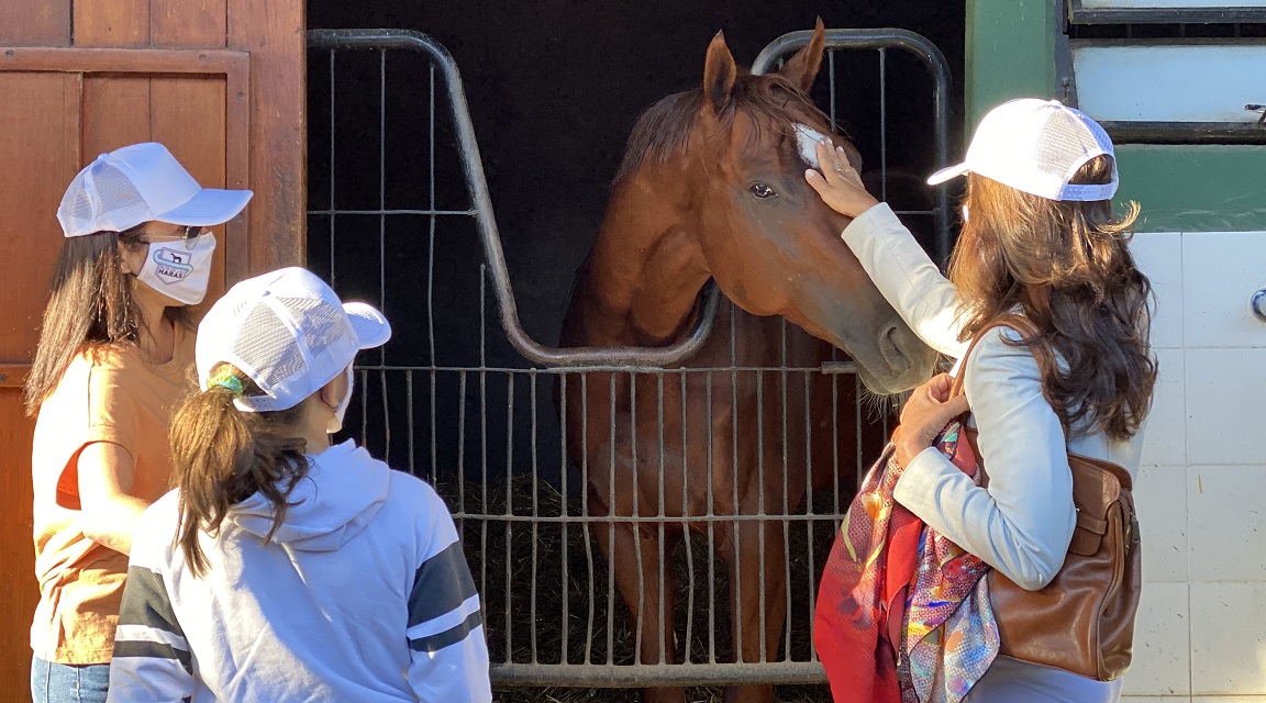 Ruta de los Haras