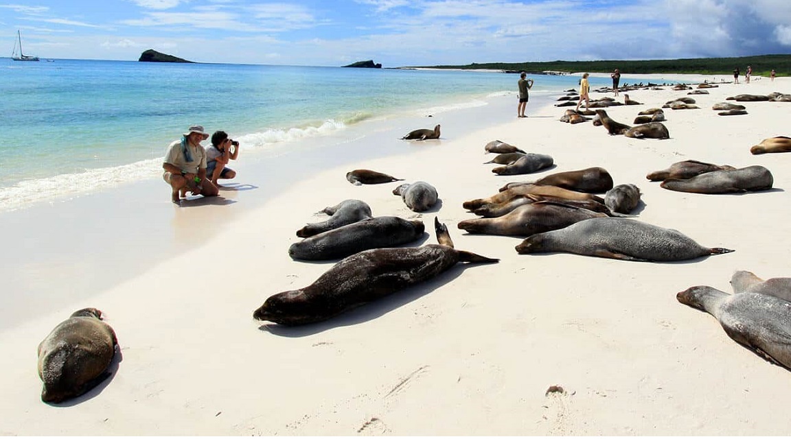 Islas Galápagos