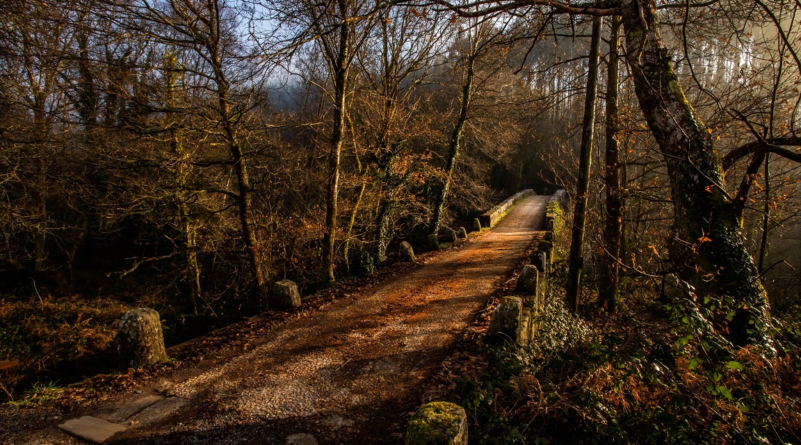 Camino de Santiago Google