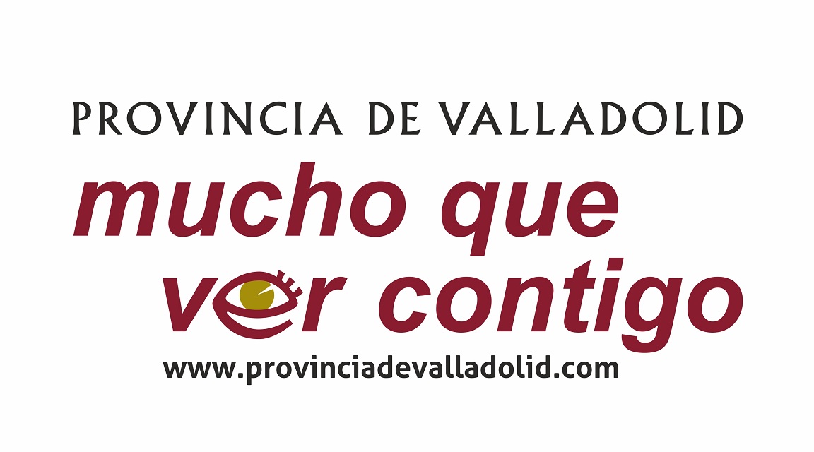 Diputacion Valladolid