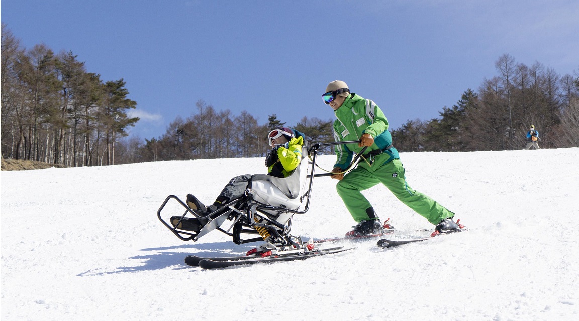 Japón accesible