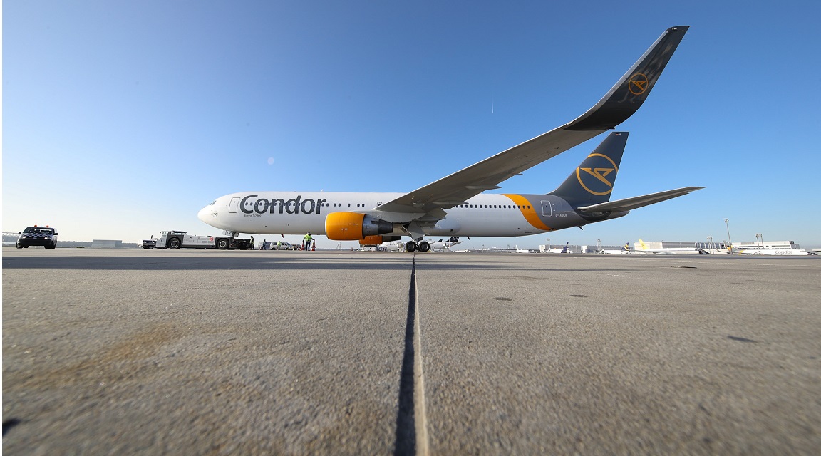 Condor