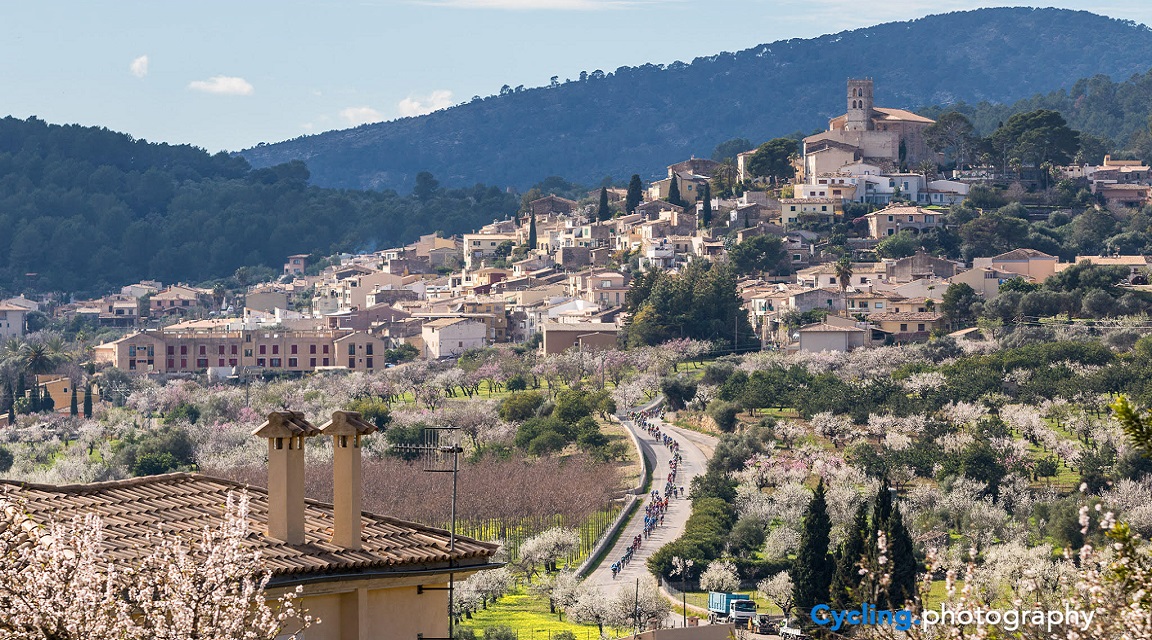 Mallorca Challenge