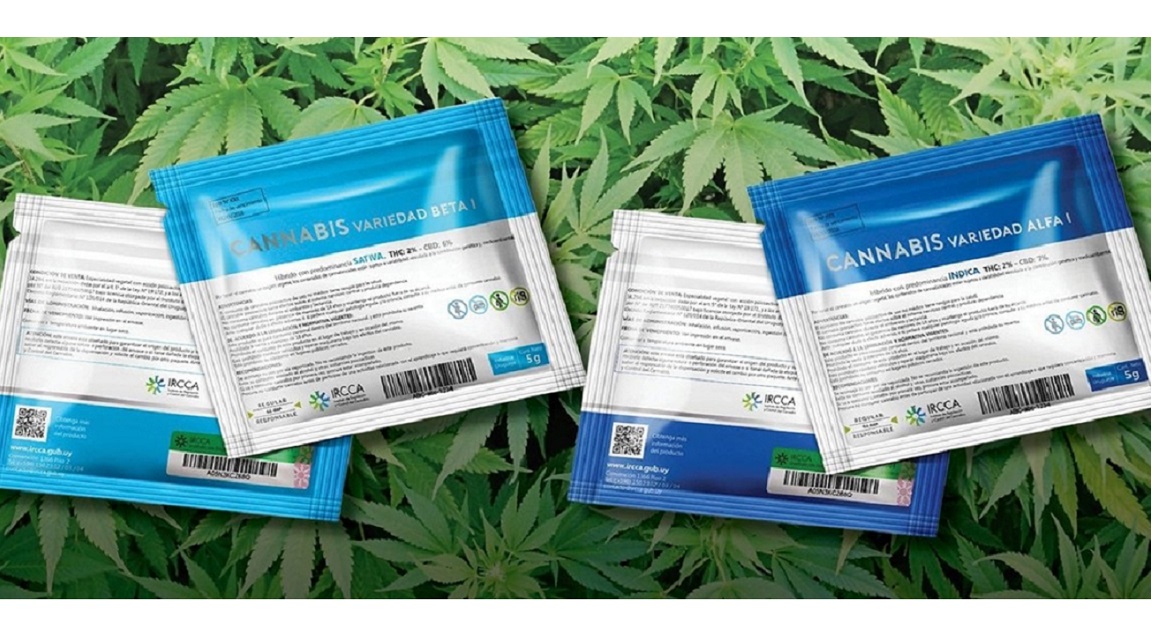Uruguay Cannabis