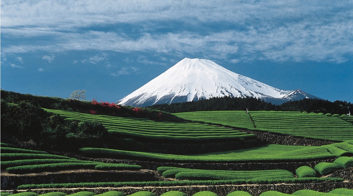 Japon Fuji