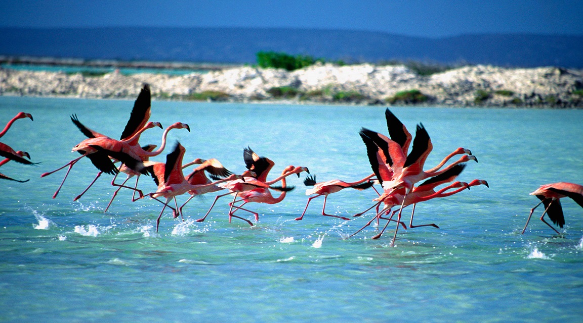 Bonaire