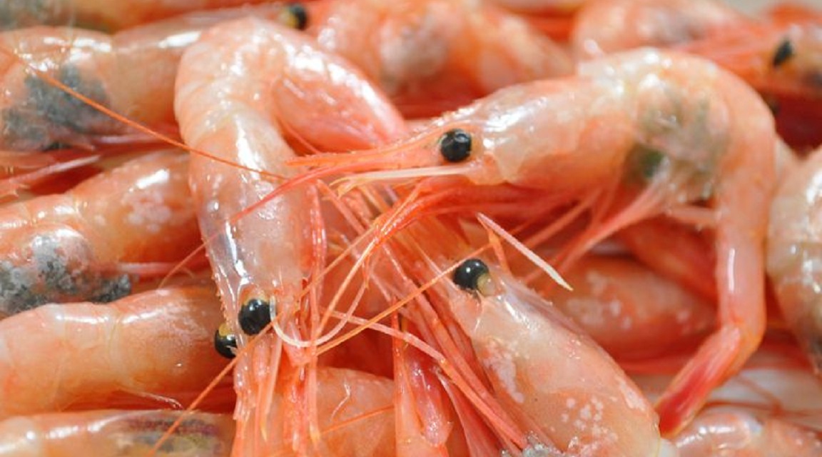 Gambas