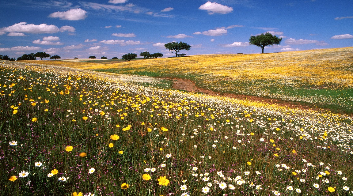 Alentejo