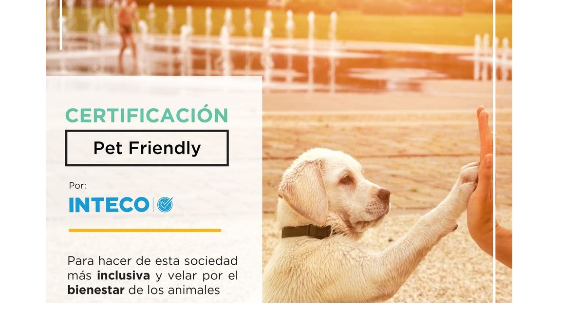 Inteco Pet Friendly