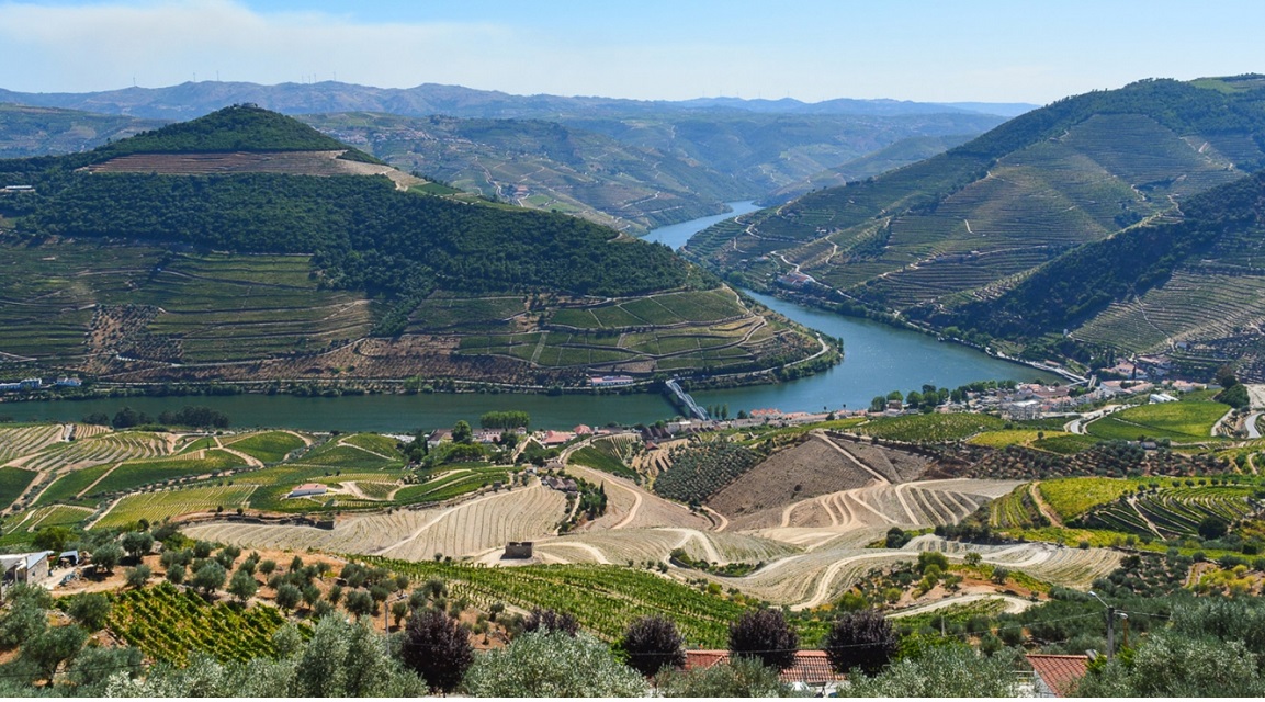 Duero Vinatero