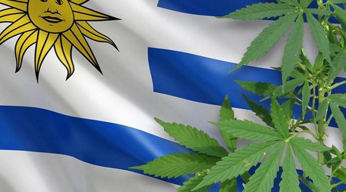 Uruguay marihuana