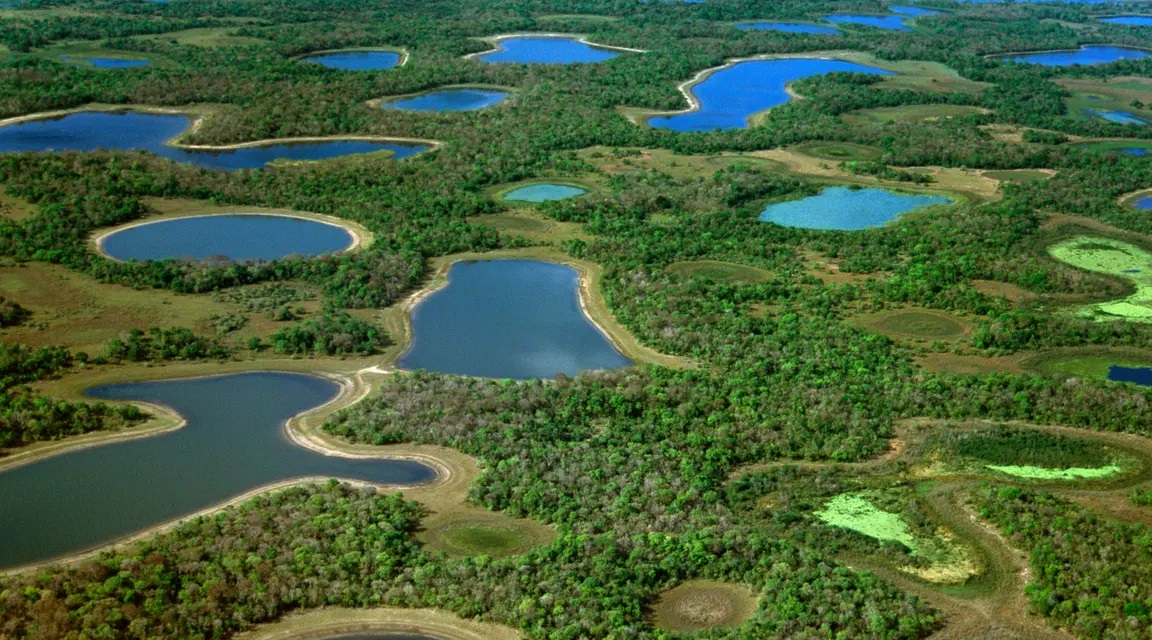 Pantanal Brasil