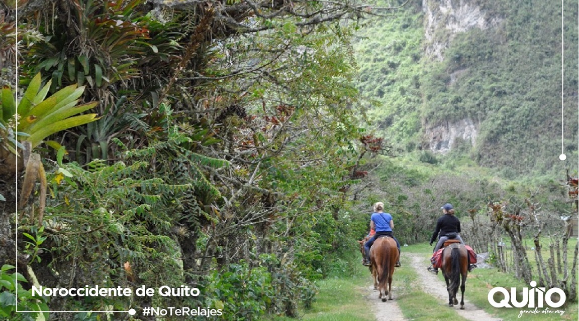 Ecuador chocó