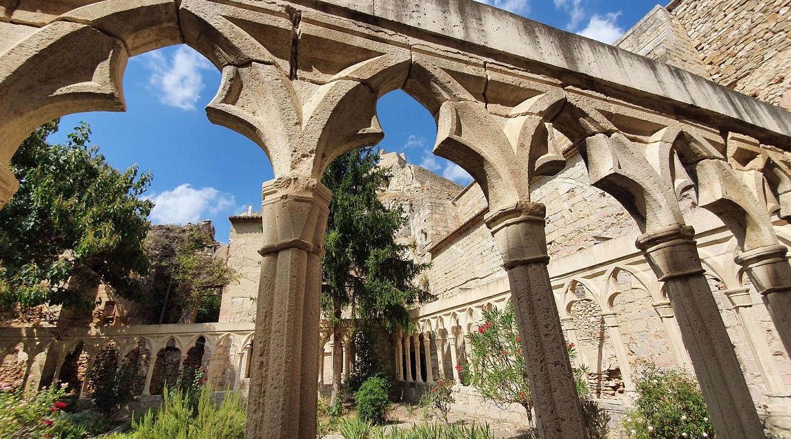 Morella