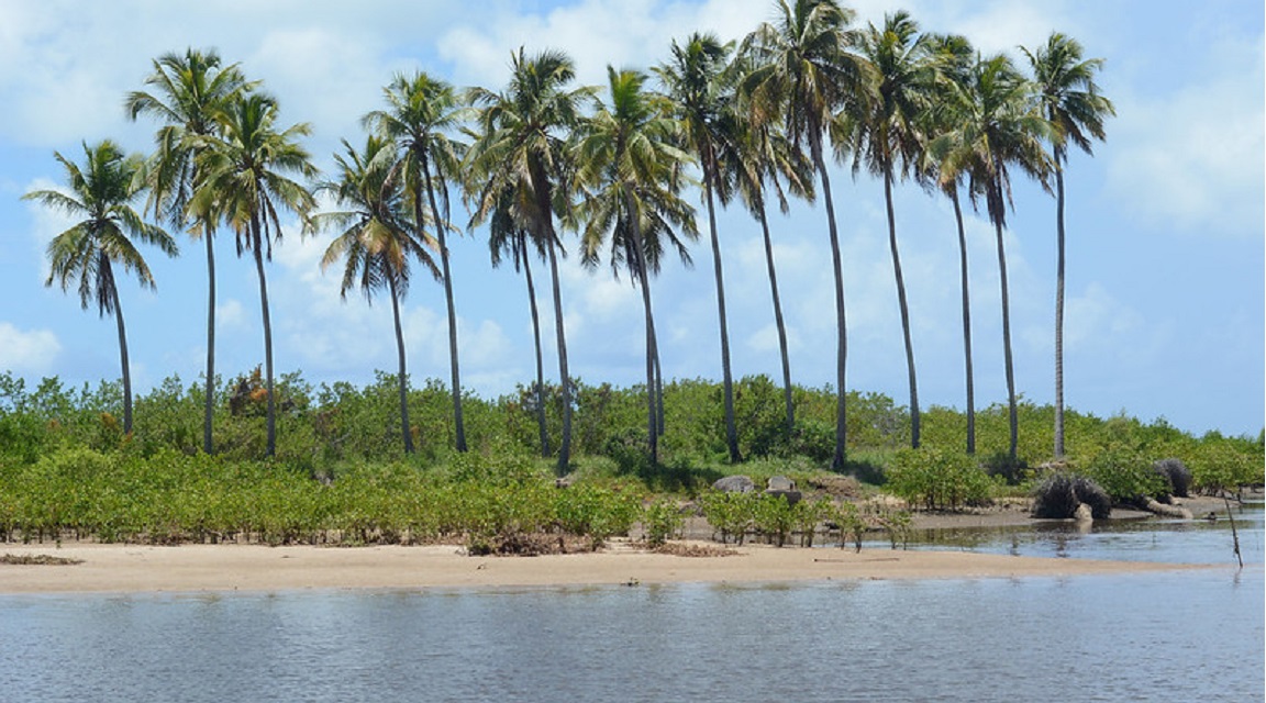 Brasil_Alagoas_Marco_Ankosqui.jpg 