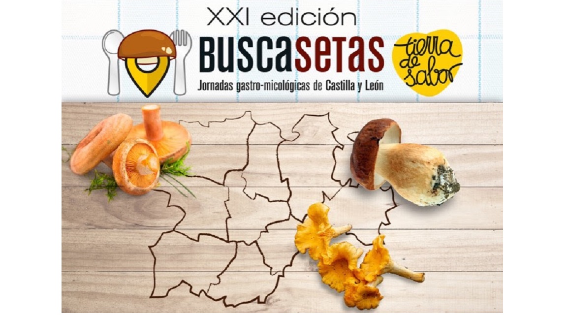 Jornadas Biuscasetas