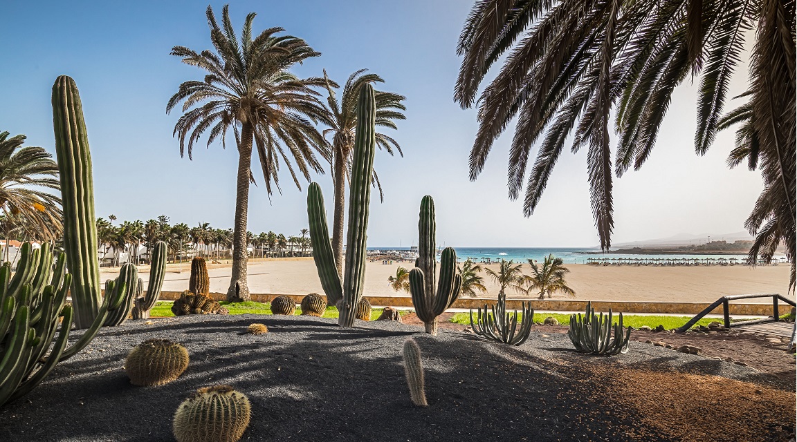 Barceló Fuerteventgura Beach