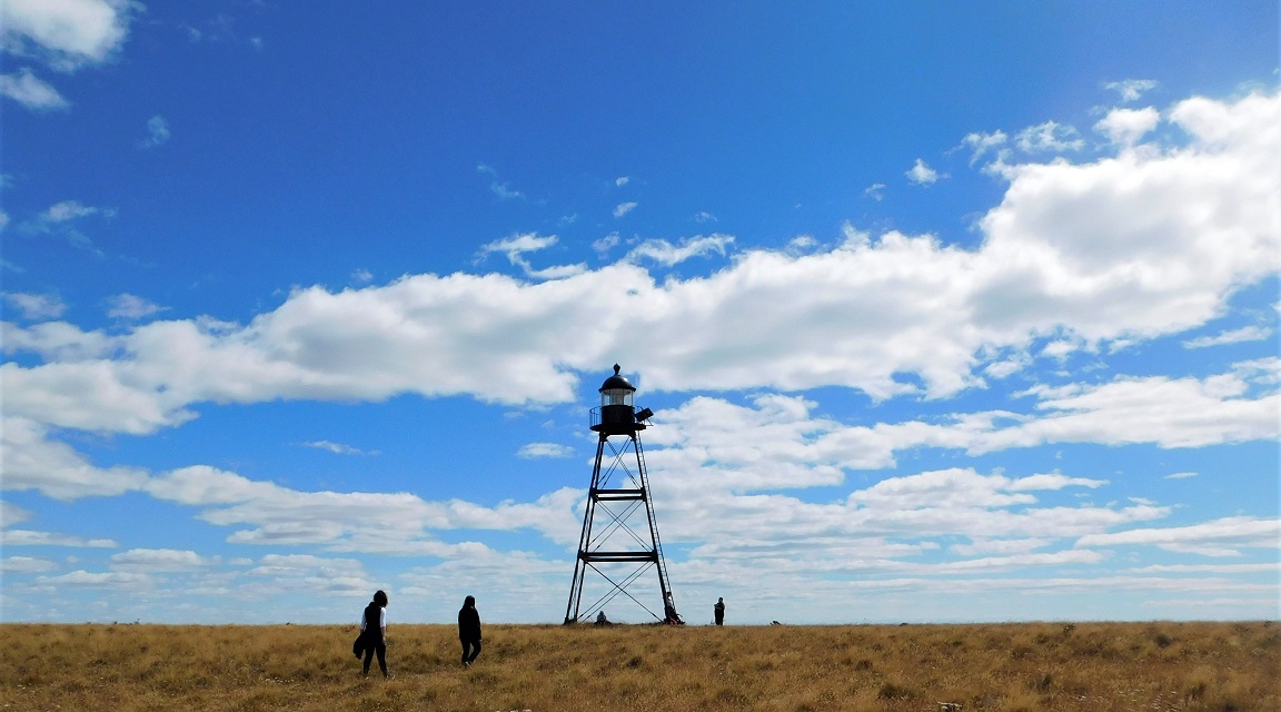 Tierra_del_Fuego_Faro_stella_alazard