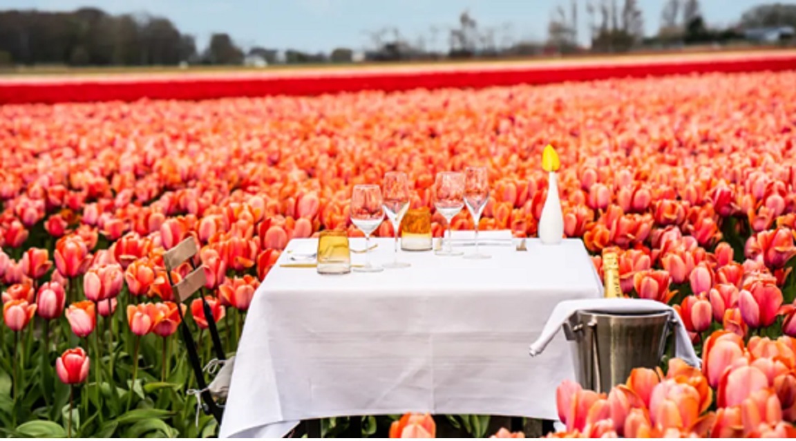 Anantara_Grand_Hotel_Krasnapolsky_girasoles