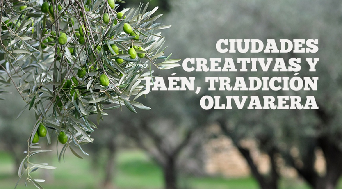 Jaén olivo