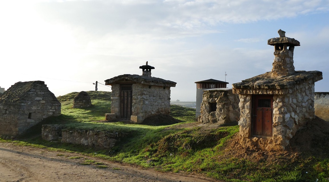 Cerrato - Palencia