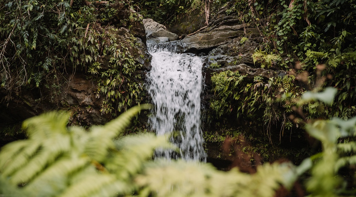 El Yunque