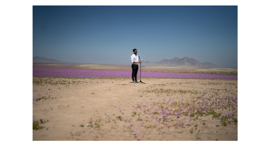 Desierto Florido