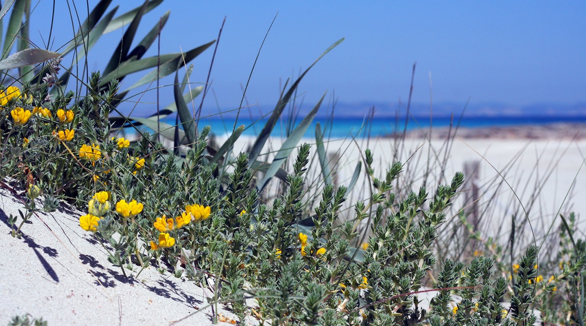 Formentera