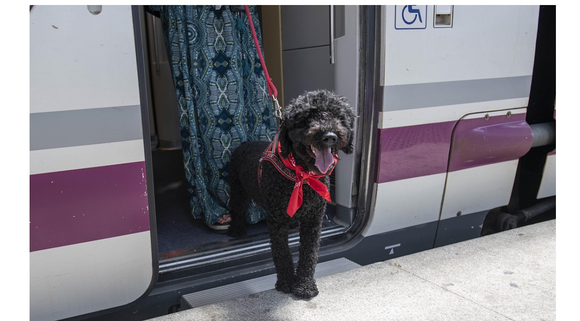 Renfe - Perros