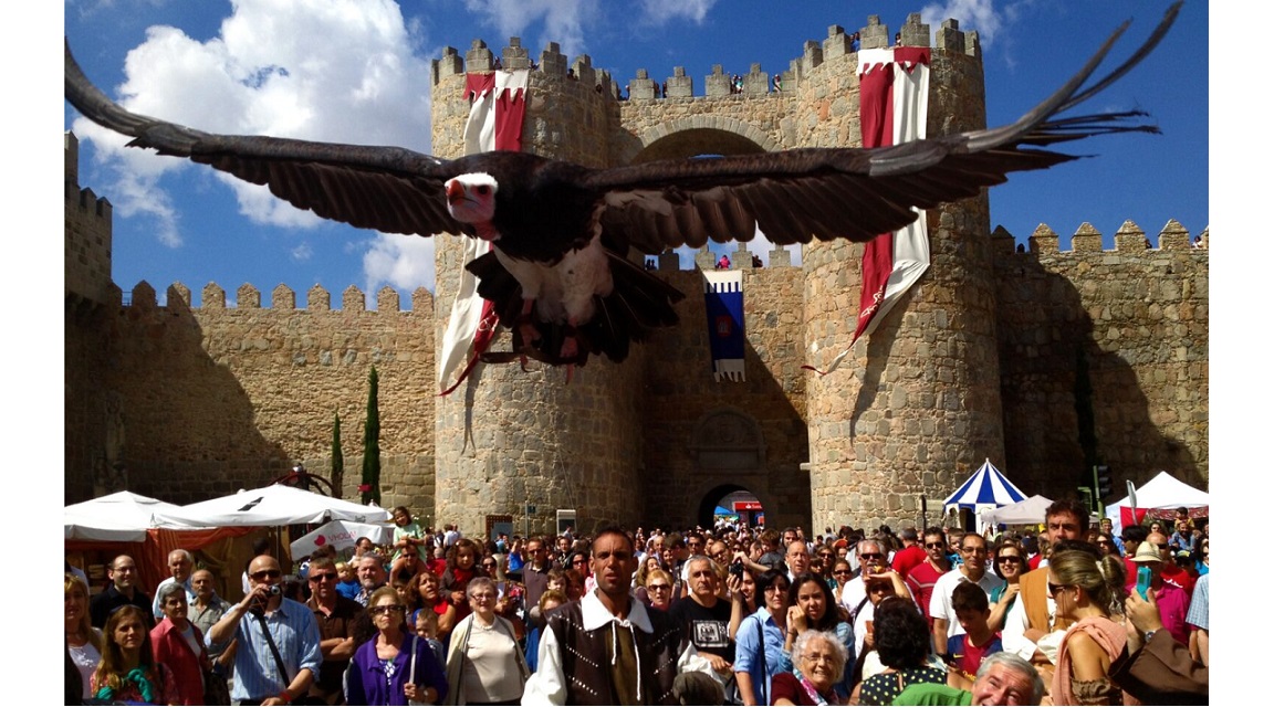 Jornadas Medievales - Ávila