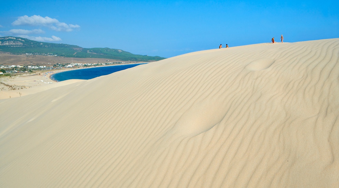 Cádiz - Bolonia