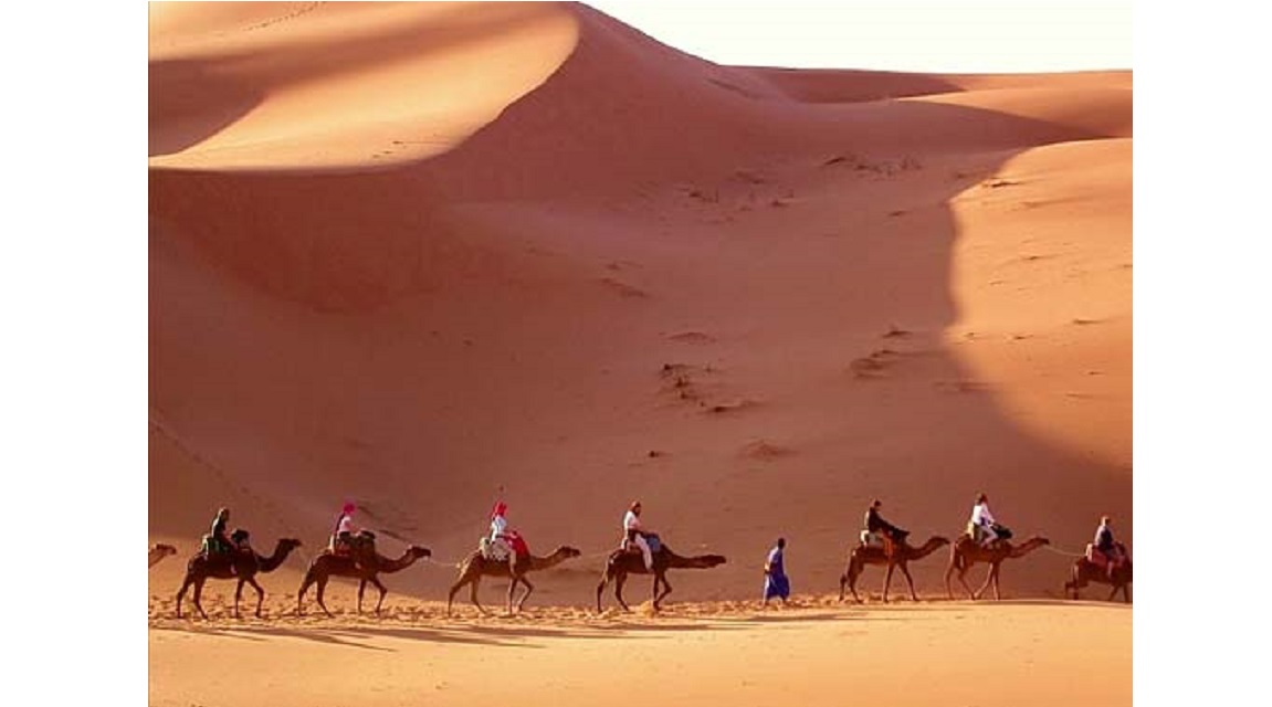 Dunas Travel