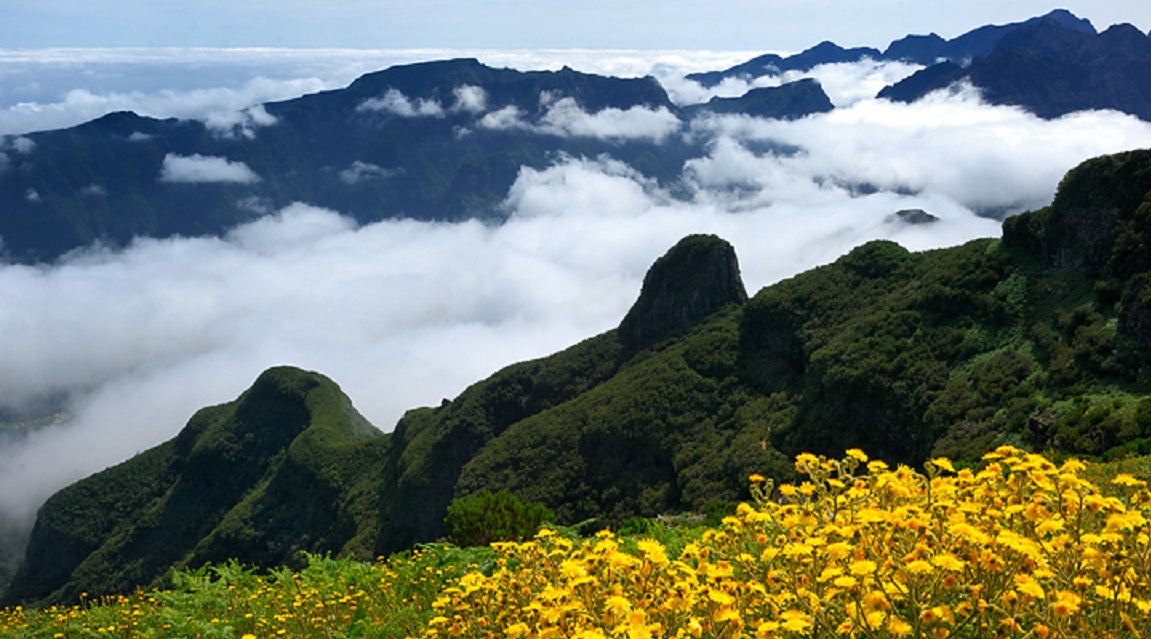 Madeira Naturaleza