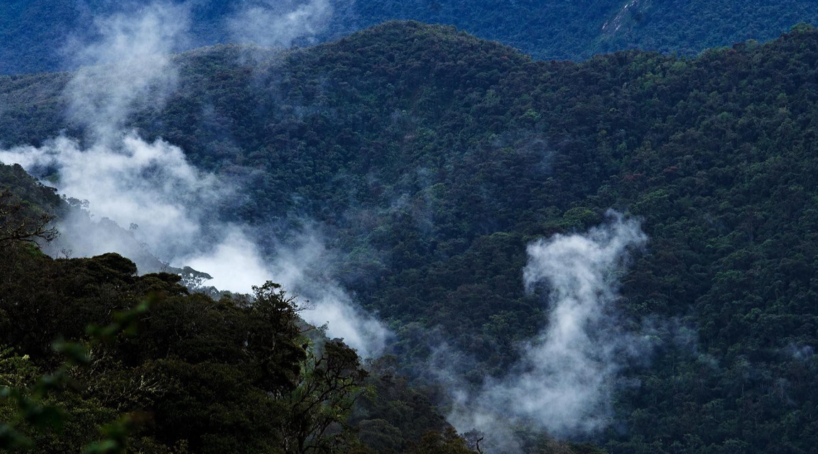 Parque Nacional - Perú