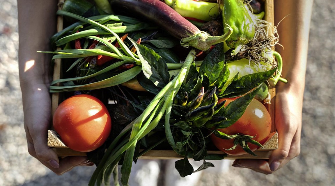 Verduras