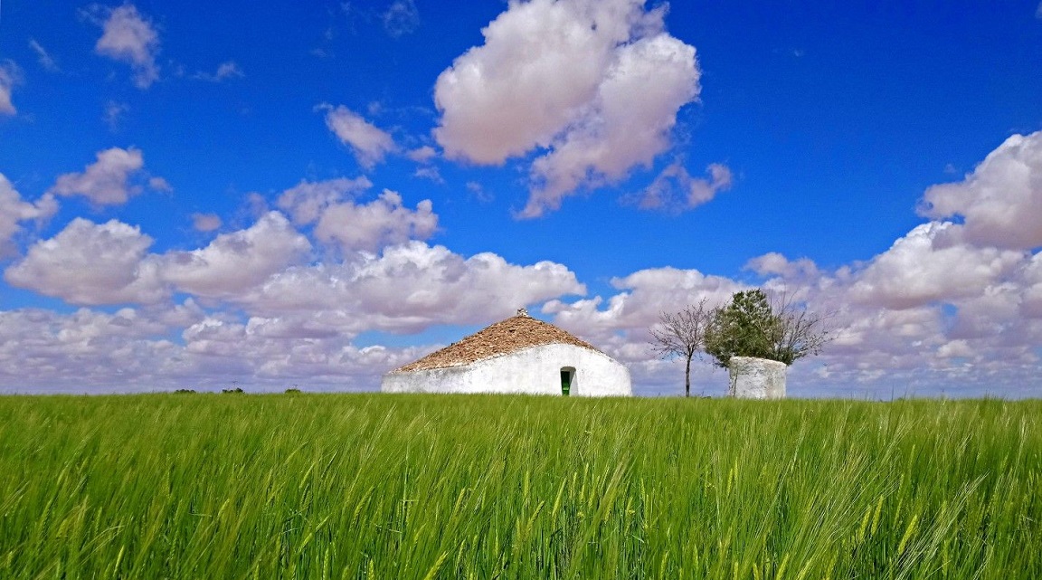 Ruta Vino La Mancha