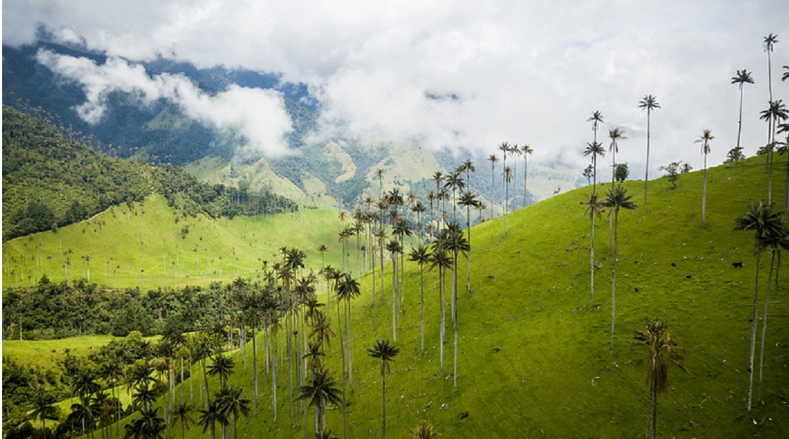 Colombia