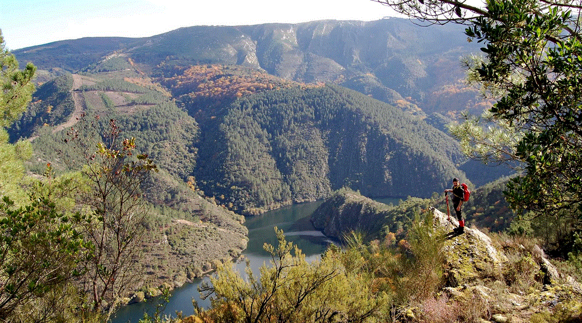 Camino de Invierno