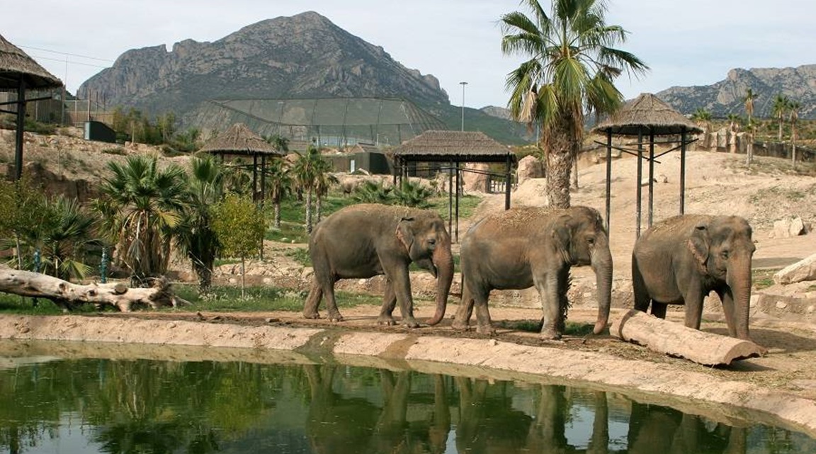 terra Natura