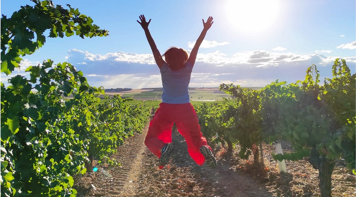 Ruta del Vino de Rueda