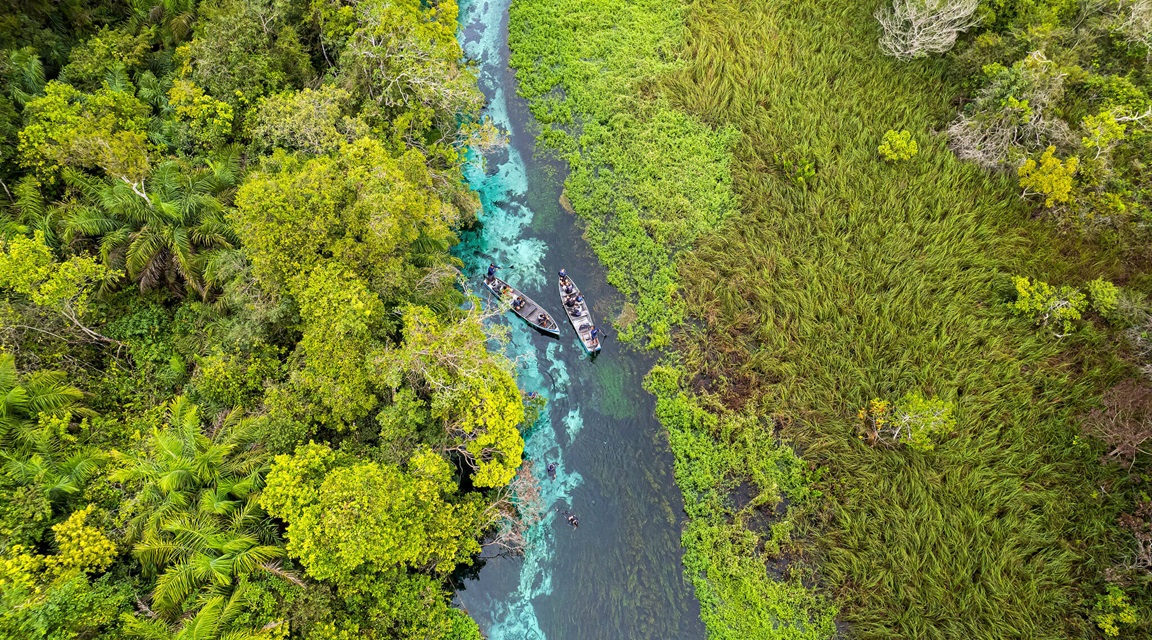 Naturaleza Brasil